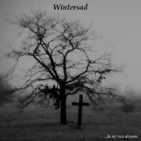 Wintersad - ...In+My+Last+Dreams (2011)