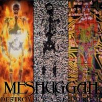 Meshuggah - Destroy+Erase+Improve (1995)
