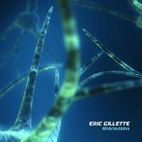 Eric+Gillette - Afterthought (2013)
