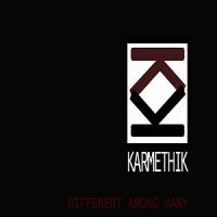 Karmethik+ - Different+Among+Many+ (2013)