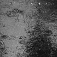 Voices+ - From+The+Human+Forest+Create+A+Fugue+Of+Imaginary+Rain+ (2013)