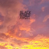 Black+Boned+Angel+ - The+End+ (2013)
