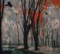 Midas+Fall - Wilderness (2013)
